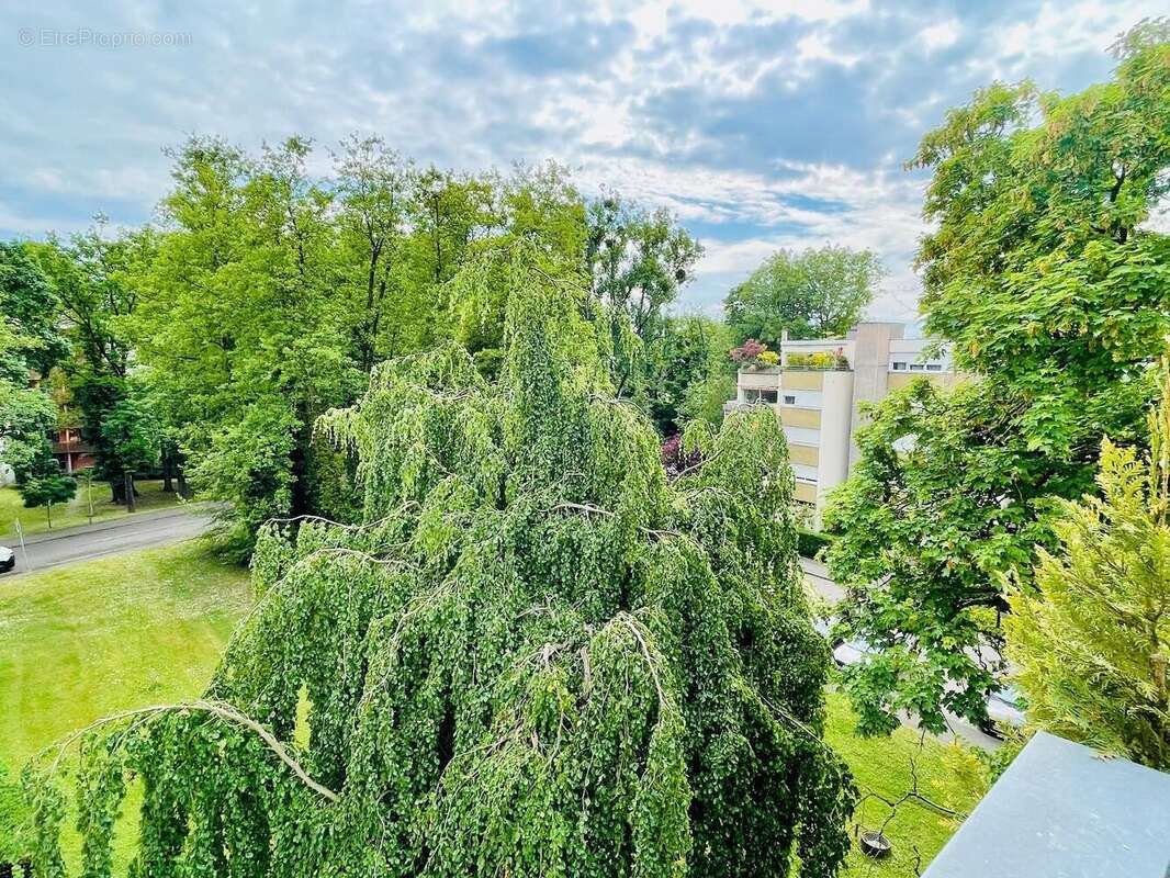   - Appartement à ILLKIRCH-GRAFFENSTADEN