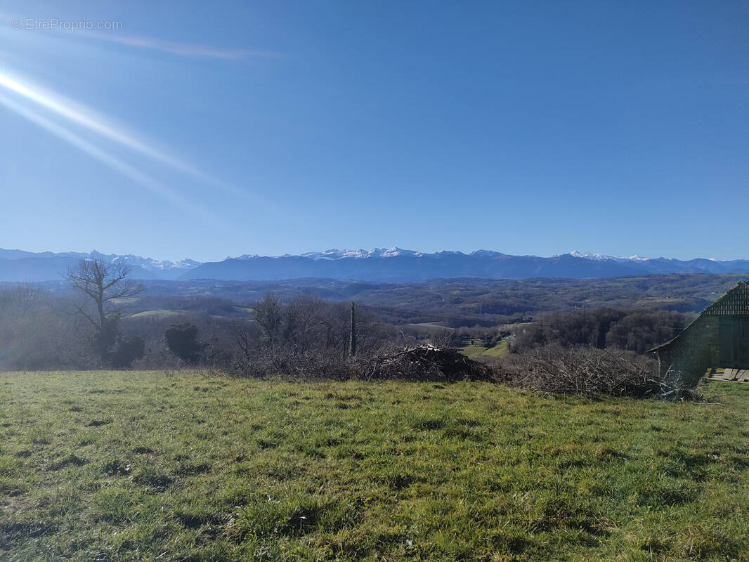 Terrain à LASSEUBE
