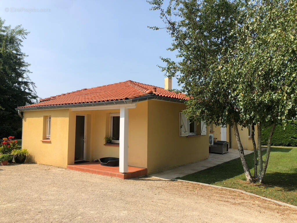 Maison à FRONTON