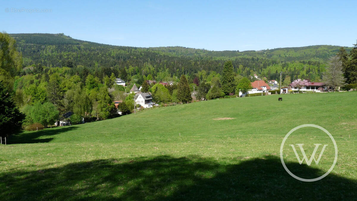 Terrain à LE HOHWALD