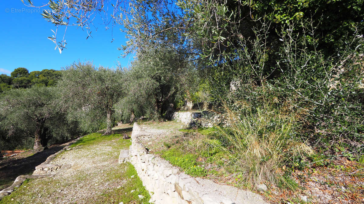 Terrain à EZE