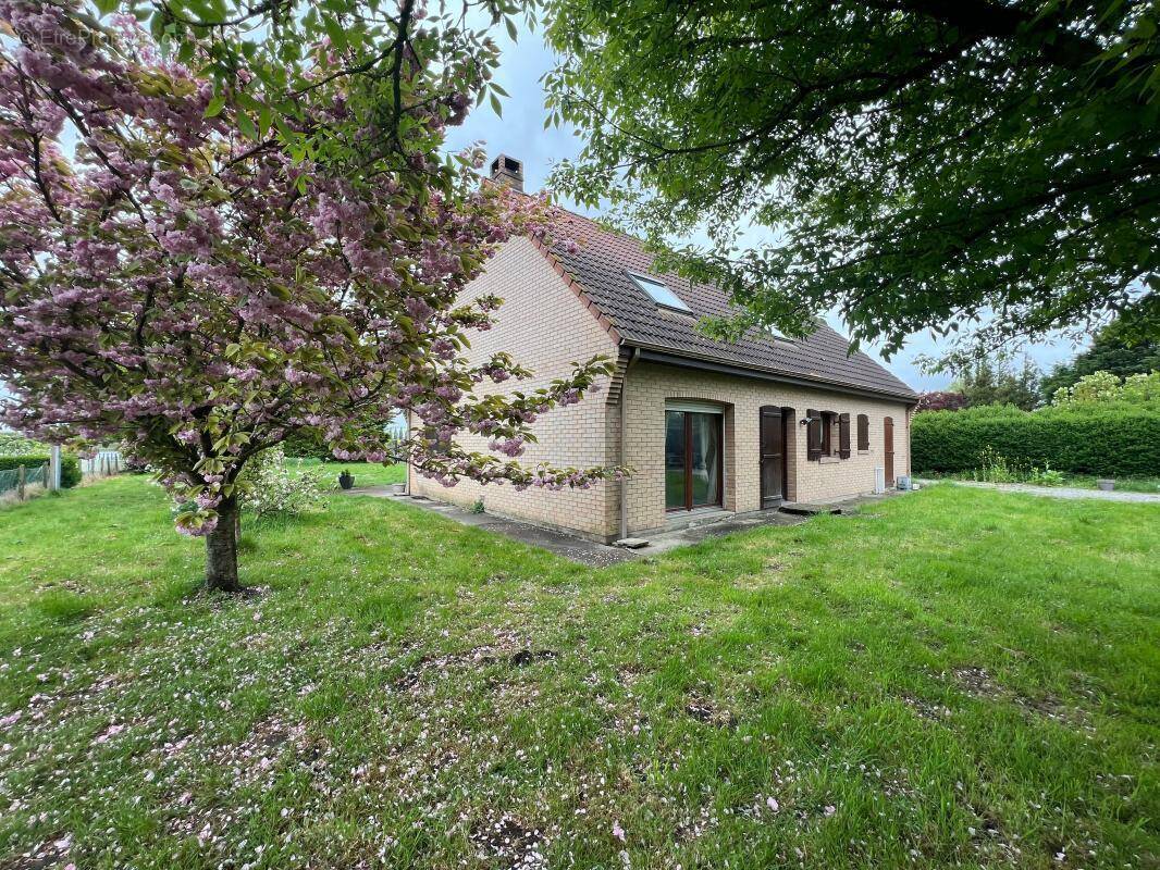 Maison à ARDRES