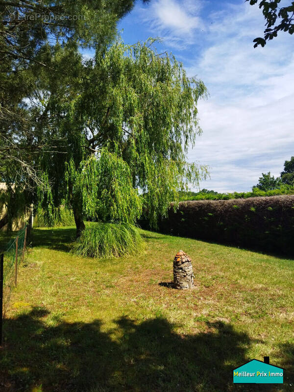 Terrain à TOUVOIS