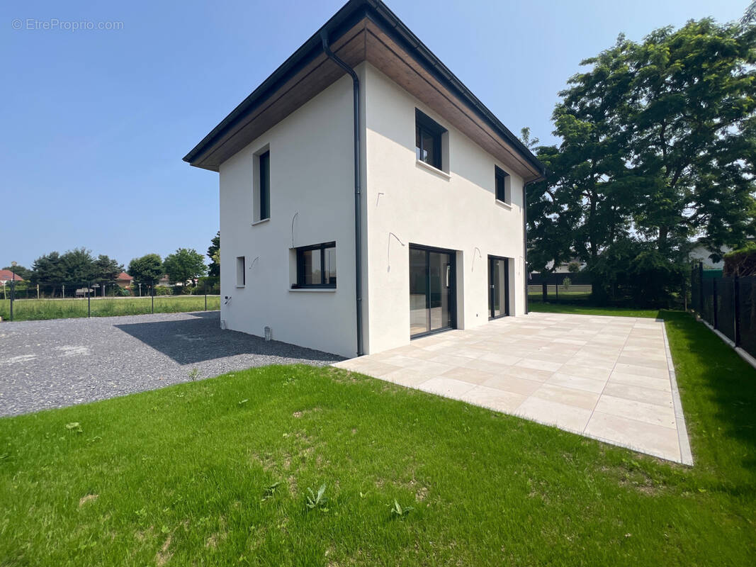 Maison à MASSONGY