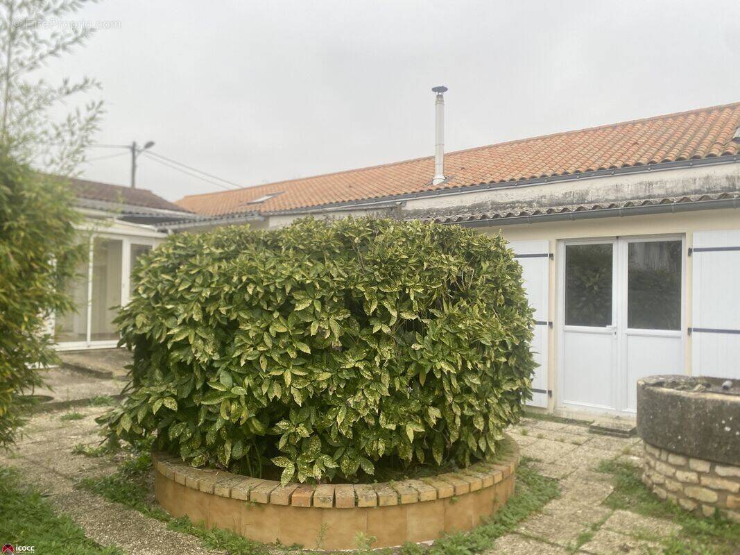 Maison à LUCON