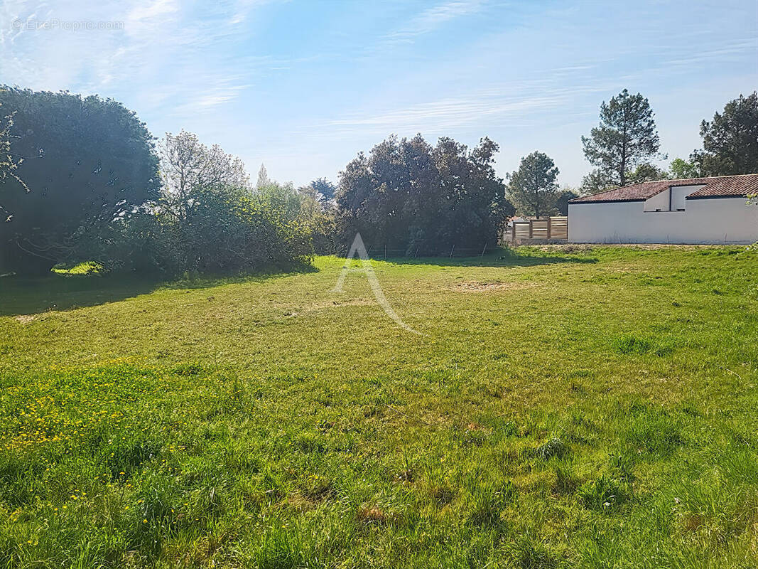 Terrain à NOTRE-DAME-DE-MONTS