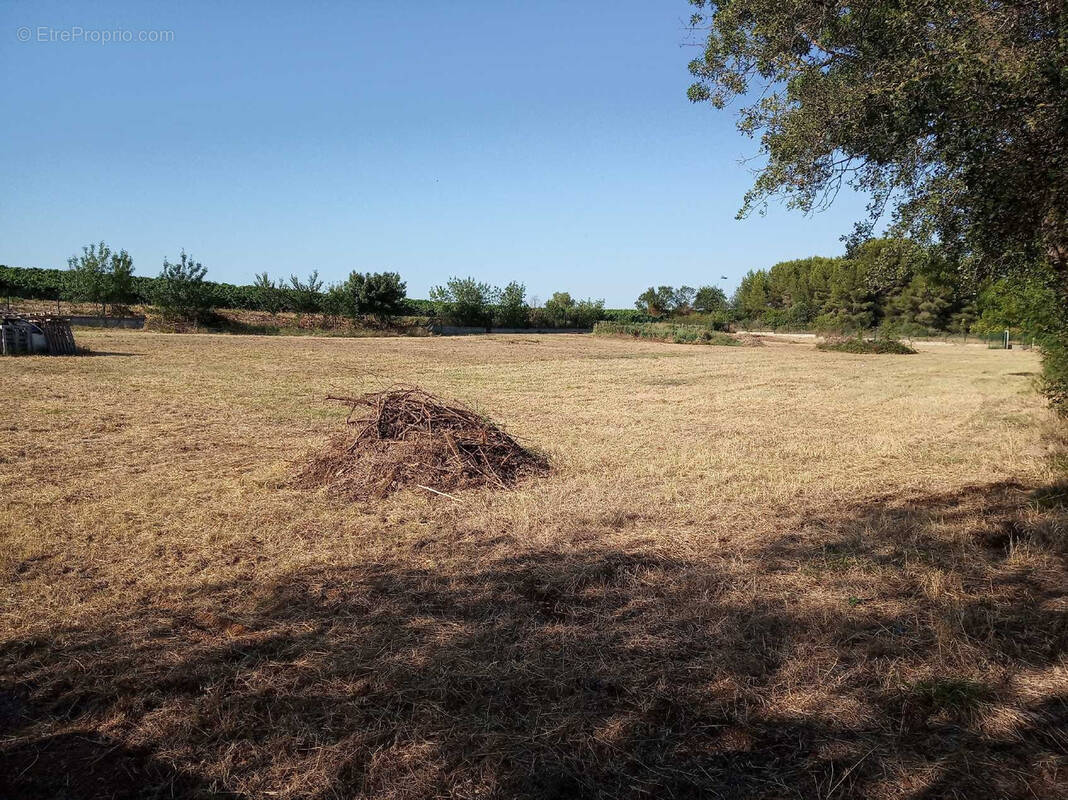 Terrain à BESSAN