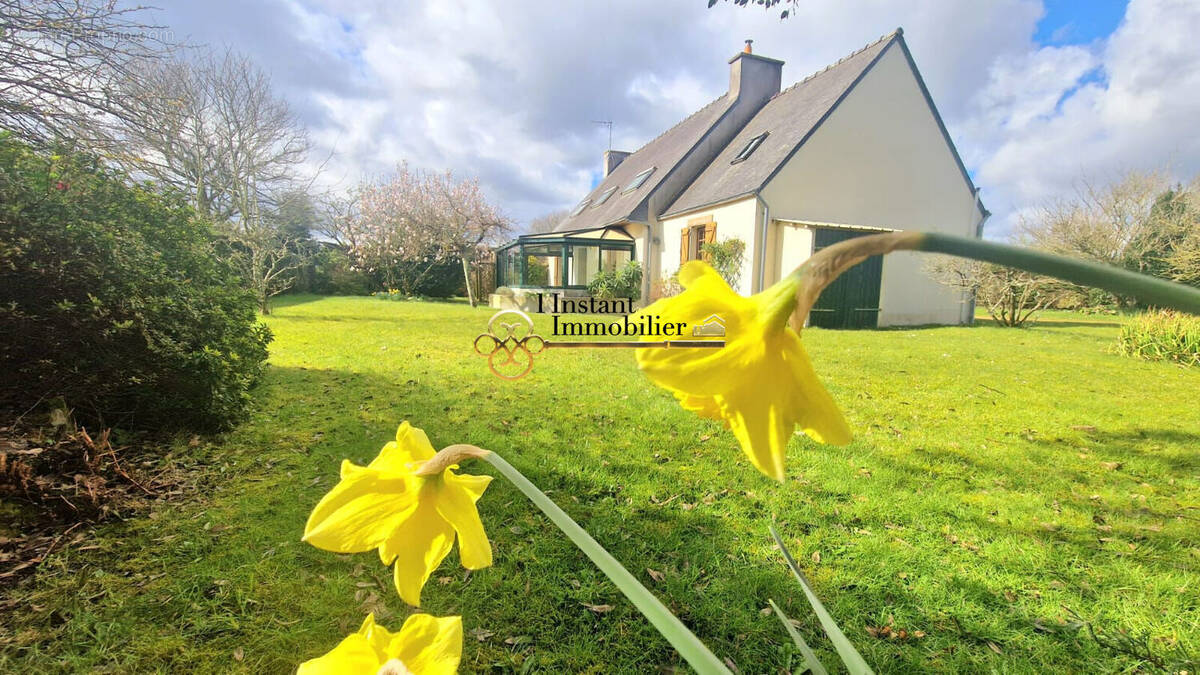 Maison à PLOUGASNOU