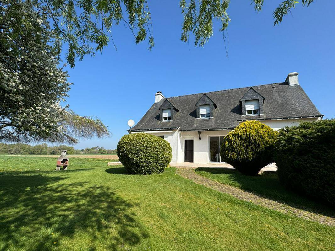 Maison à PLUVIGNER