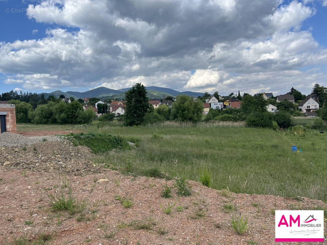 Terrain à LEIMBACH
