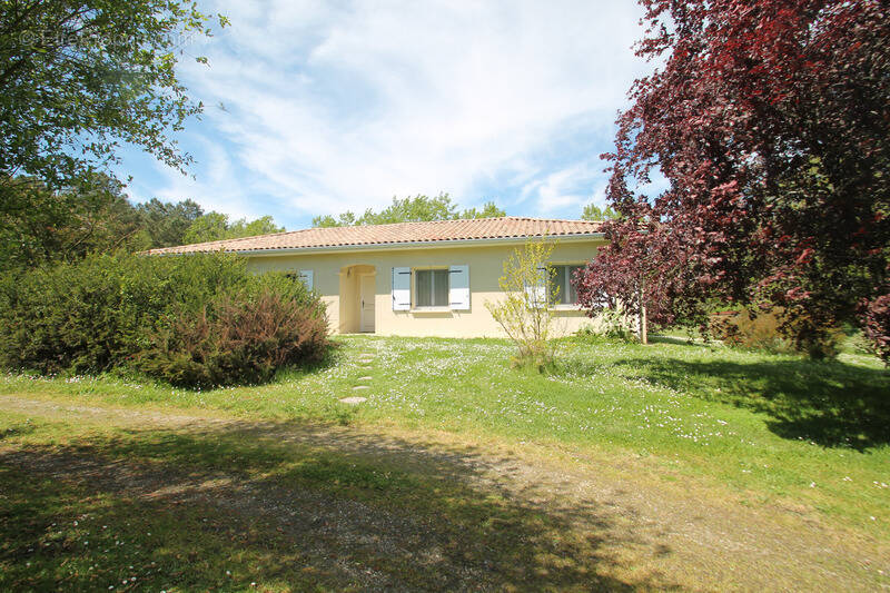 Maison à CASTELJALOUX