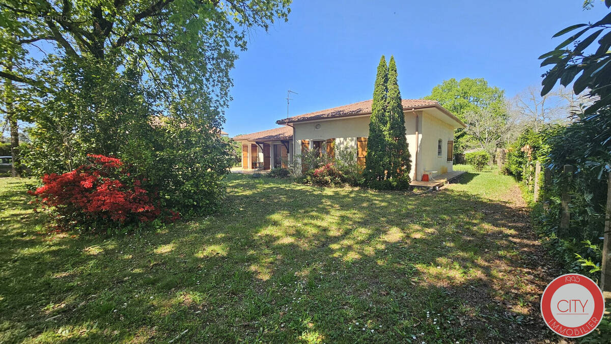 Maison à SAUCATS