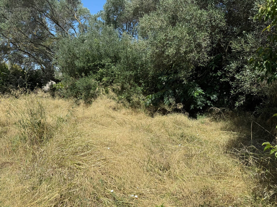 Terrain à LANSARGUES