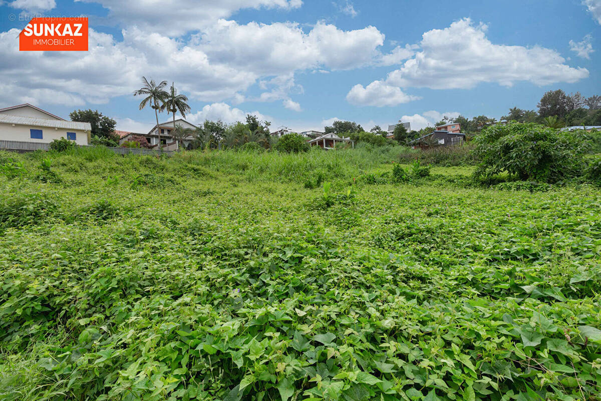 Terrain à LE TAMPON