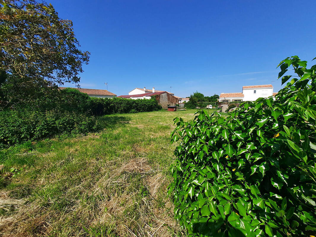 Terrain à SAINT-MICHEL-EN-L&#039;HERM