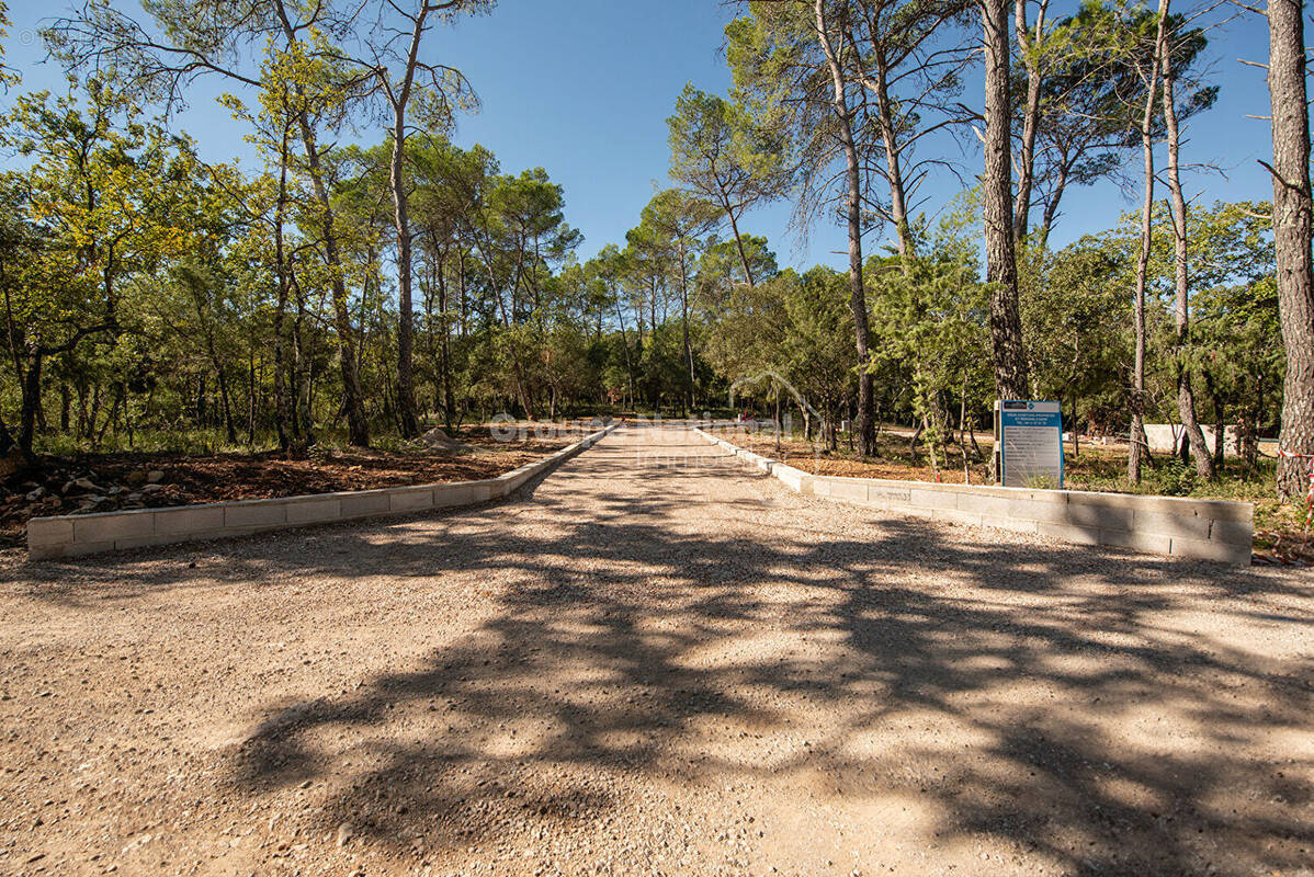 Terrain à LE THORONET