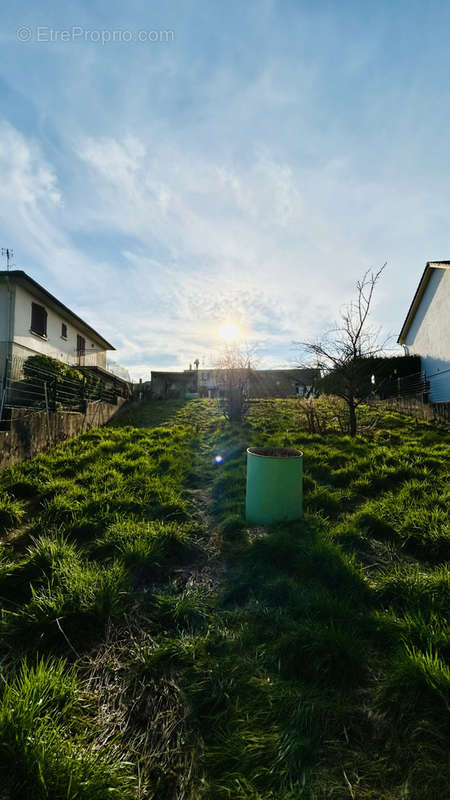 Terrain à CATTENOM