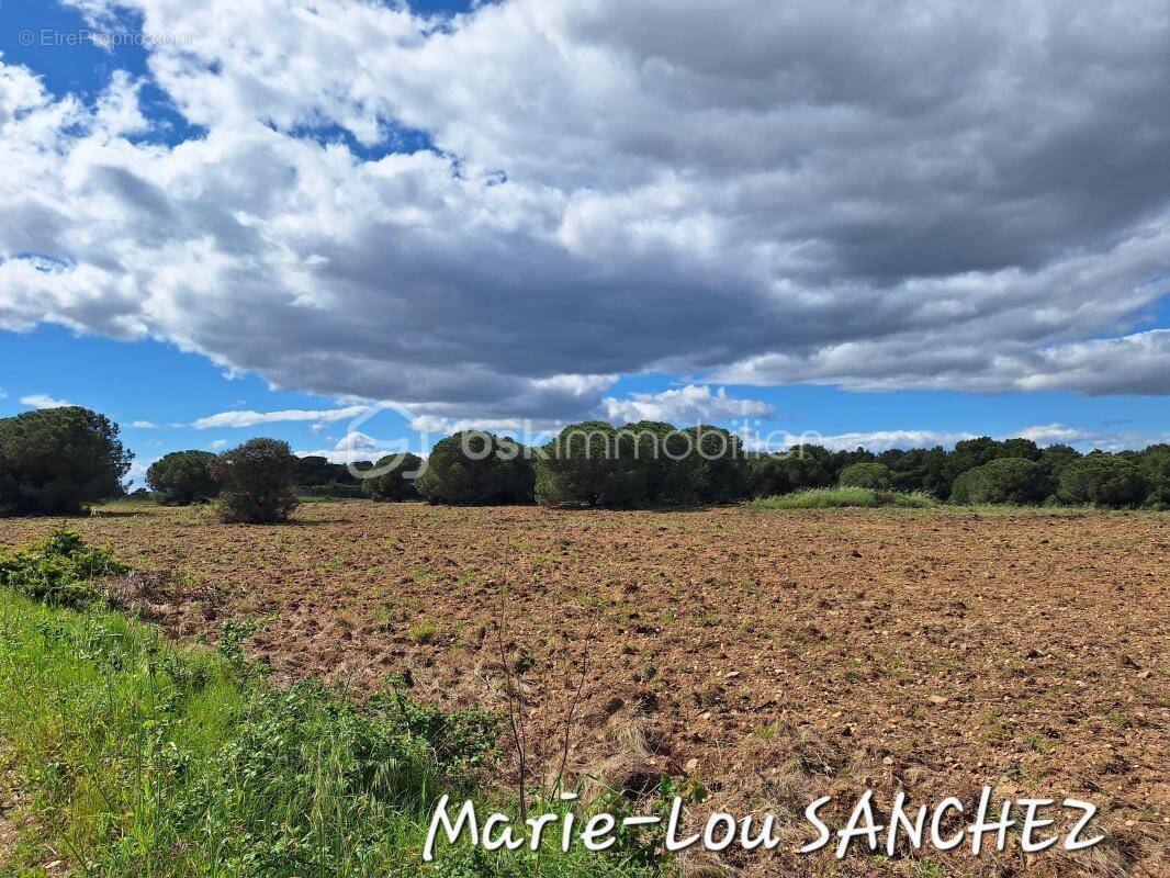 Terrain à SERIGNAN