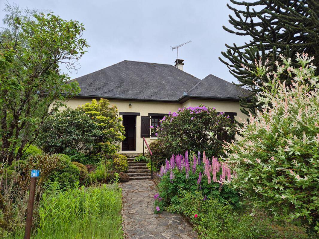 Maison à LAPLEAU