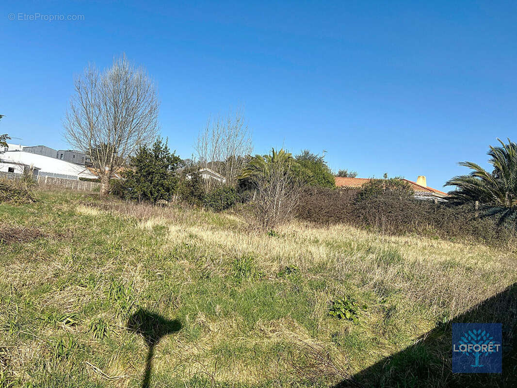 Terrain à BREM-SUR-MER