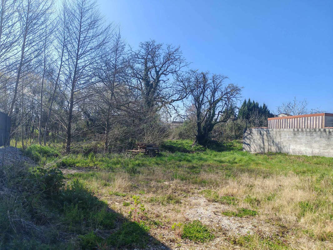 Terrain à SAINT-LAURENT-MEDOC