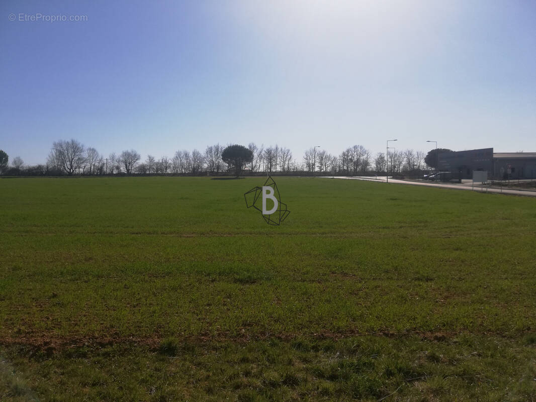 Terrain à PAMPELONNE