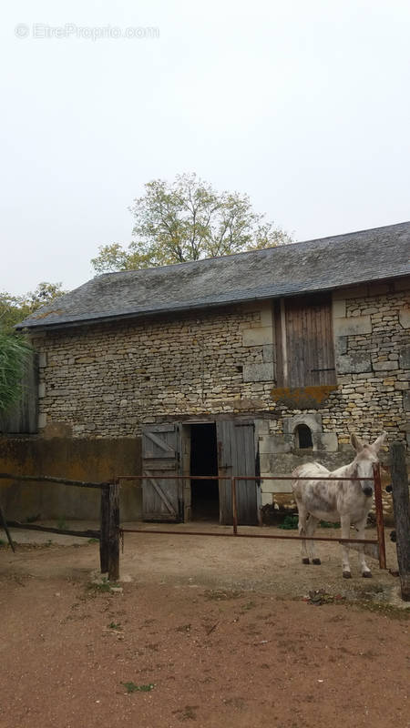 Maison à SAINT-JEAN-DE-SAUVES