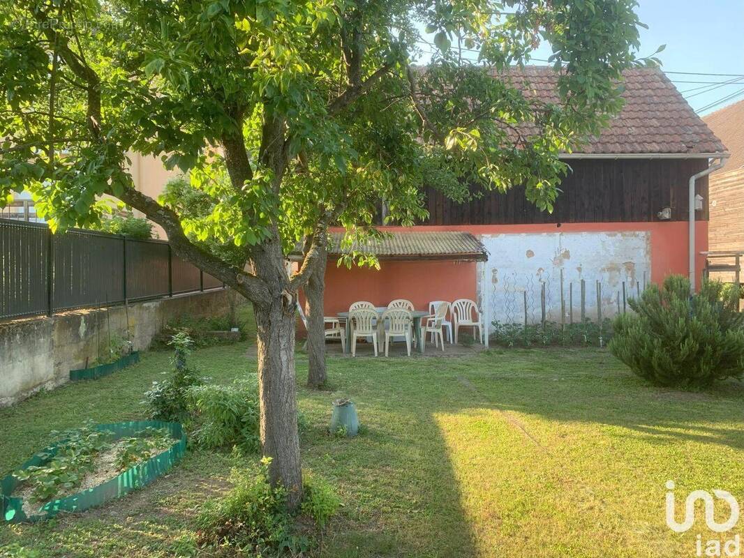 Photo 1 - Maison à TURCKHEIM