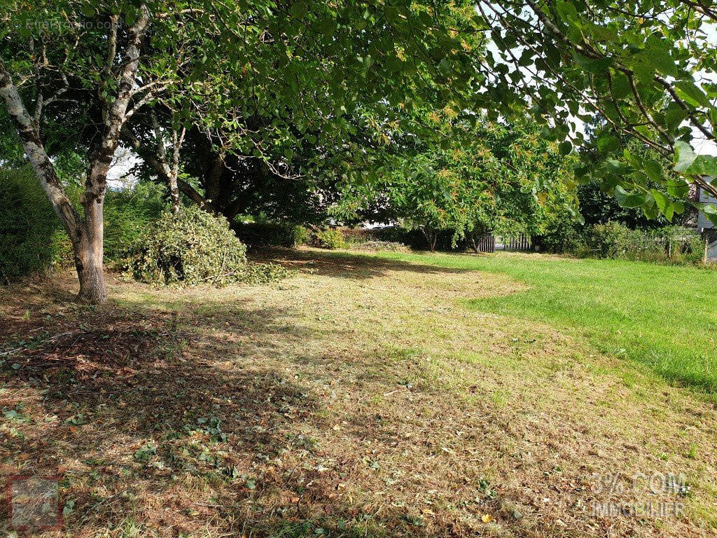 Terrain à LE PELLERIN
