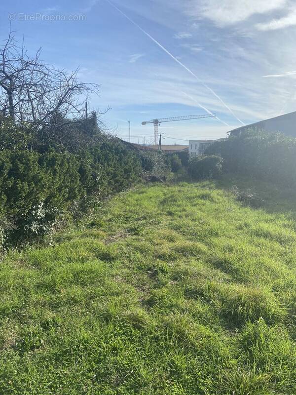Terrain à COGNAC
