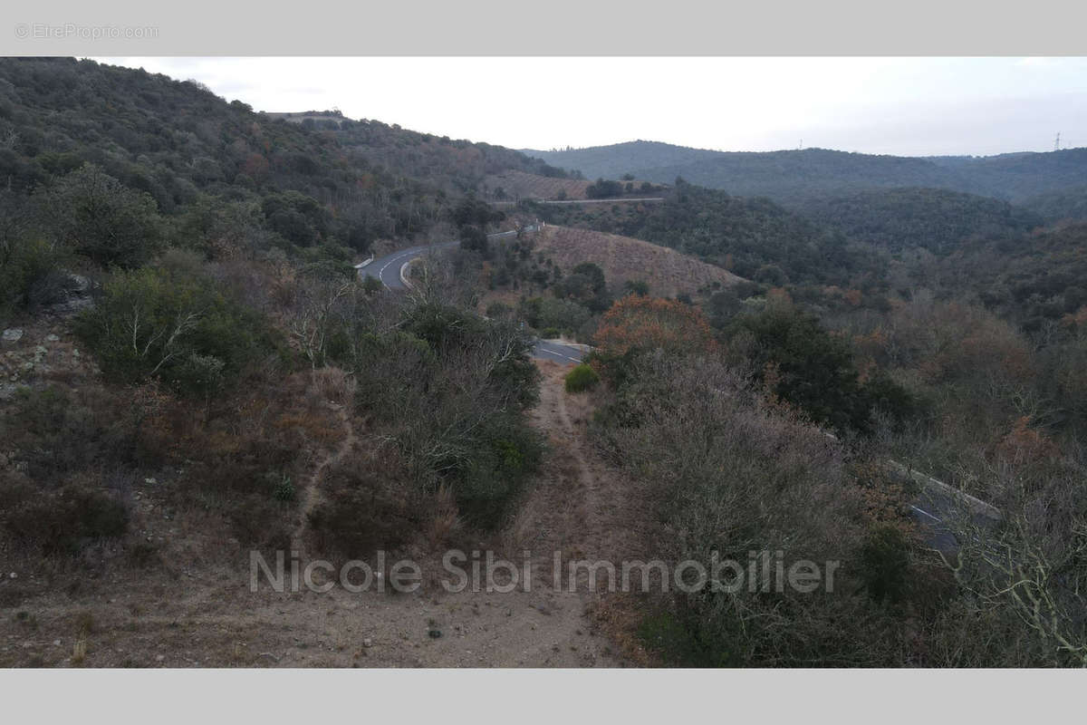 Terrain à MONTNER