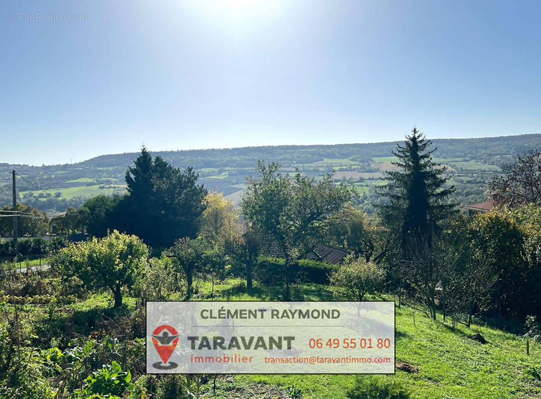 Terrain à CHANONAT