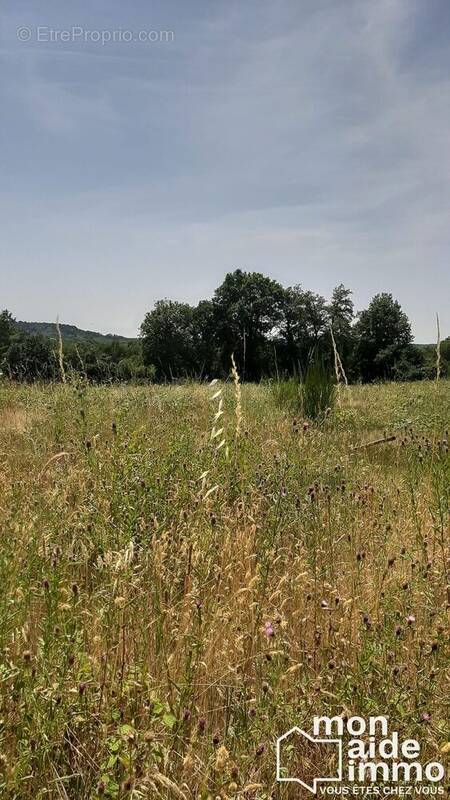 Terrain à LE BUISSON-DE-CADOUIN