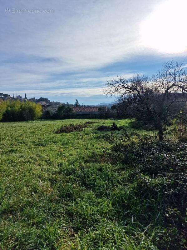 Terrain à LES MAGES