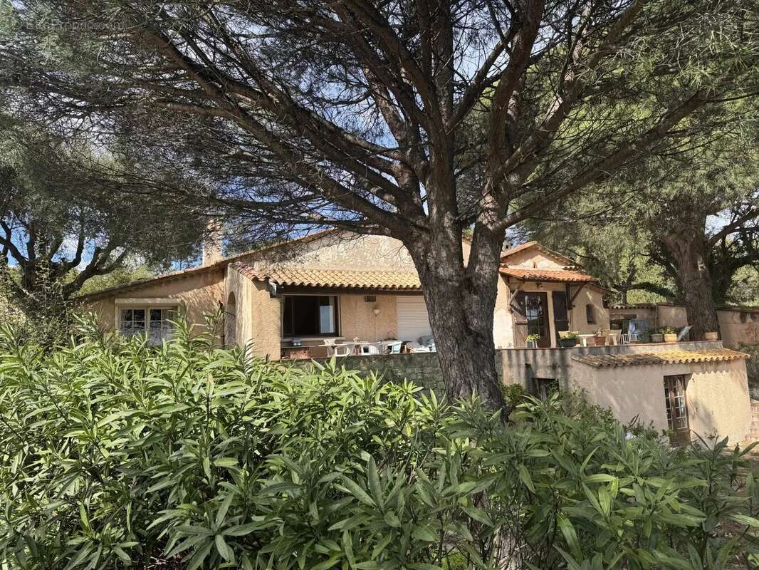 Maison à GRIMAUD