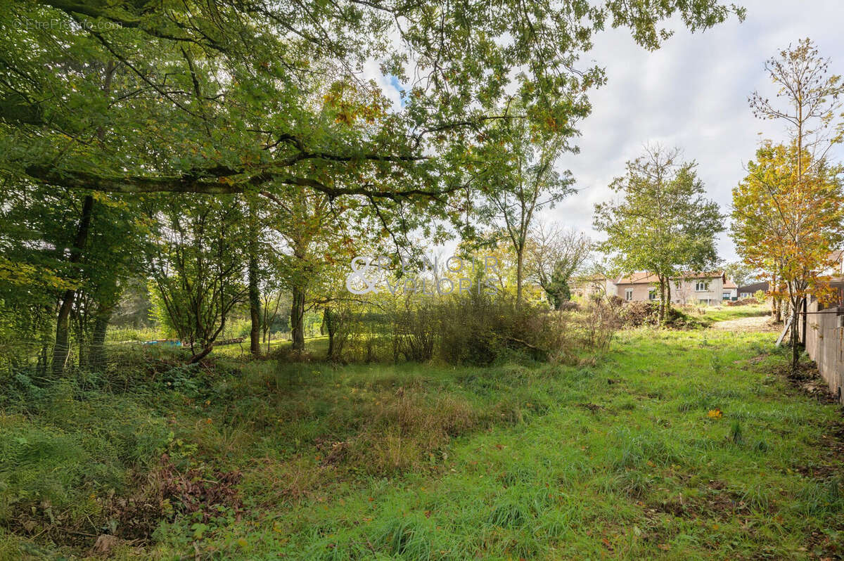 Terrain à SAINT-NICOLAS-DE-PORT