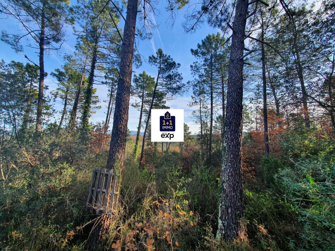 Terrain à SAINT-PAUL-EN-FORET