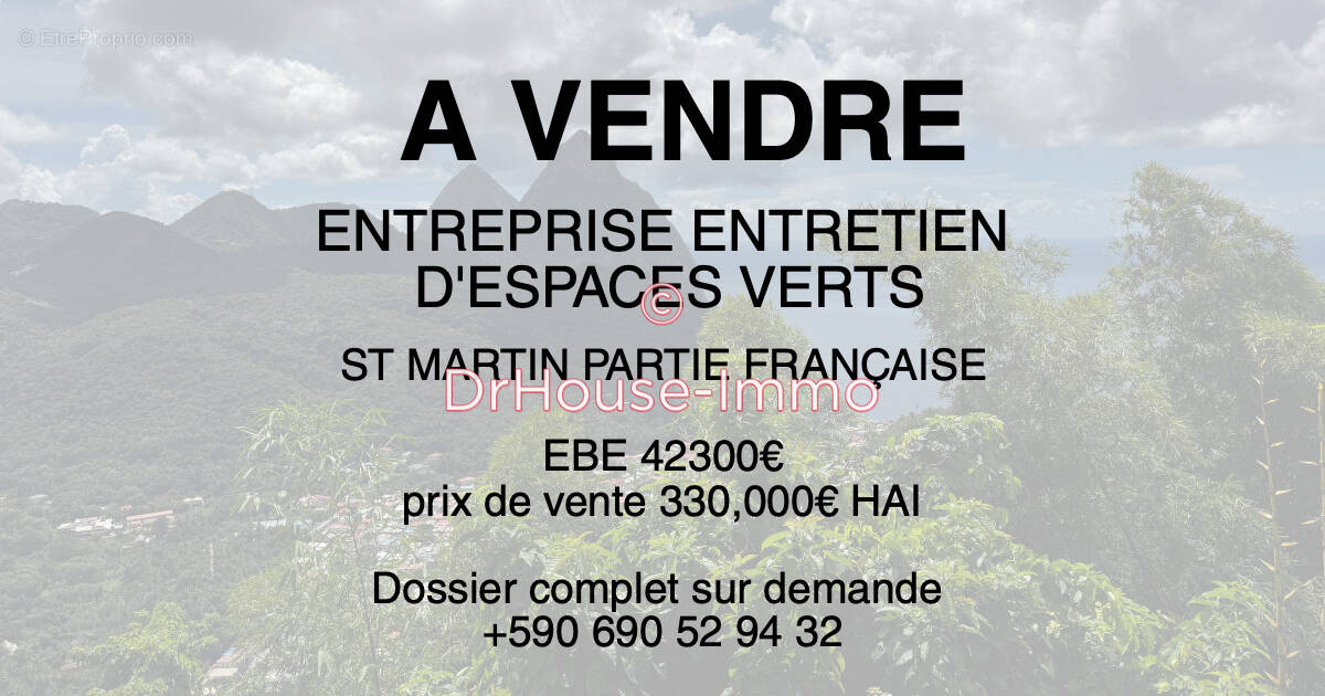 Commerce à SAINT-MARTIN