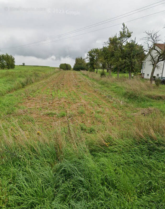 Terrain à ROUSSY-LE-VILLAGE