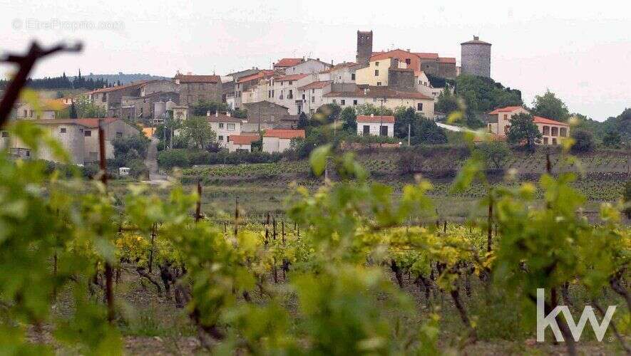 Terrain à MONTNER