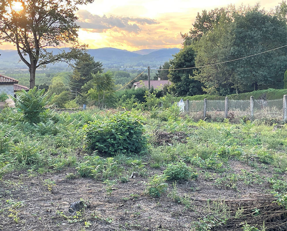 Terrain à MONTMERLE-SUR-SAONE