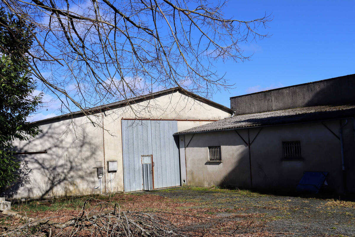 Commerce à CHAMPSAC