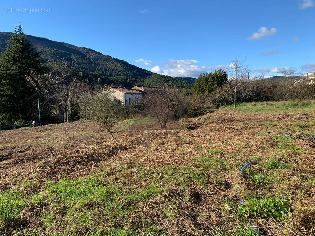 Terrain à SAINT-FLORENT-SUR-AUZONNET