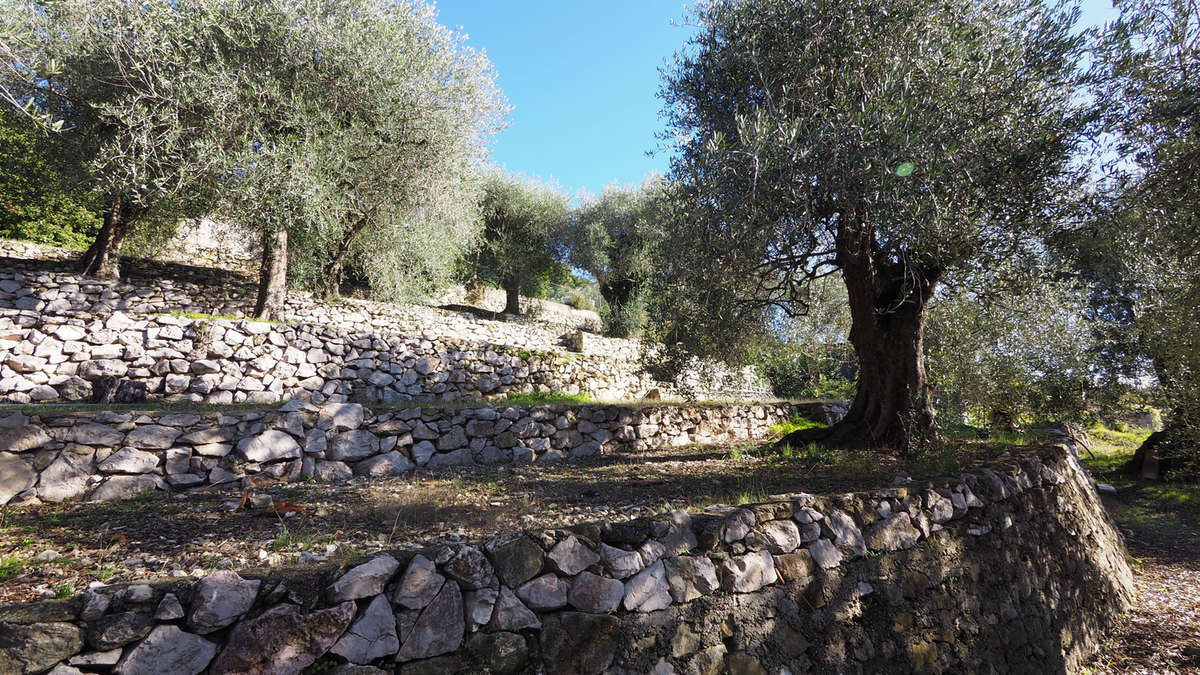 Terrain à EZE