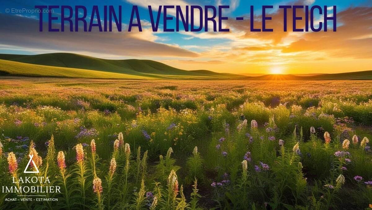 Terrain à LE TEICH