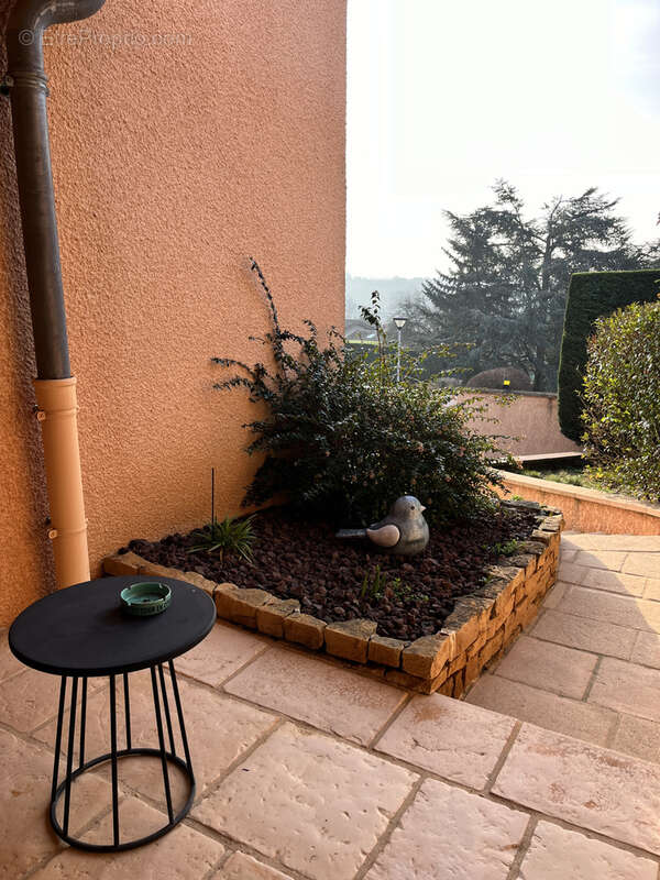 Maison à JASSANS-RIOTTIER
