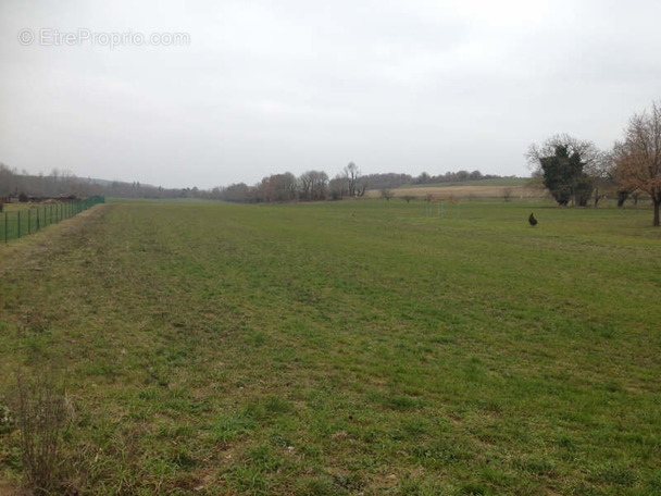 Terrain à VALDIVIENNE