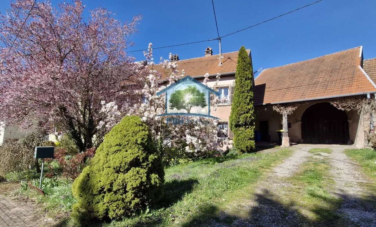 Maison à DRULINGEN