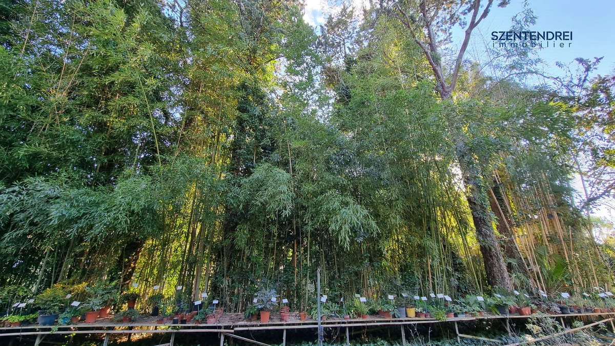 Autre à MARSILLARGUES