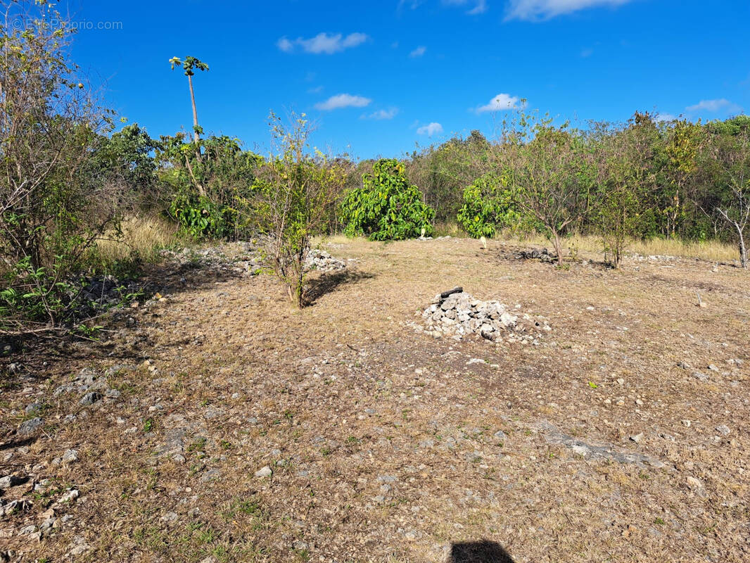 Terrain à ANSE-BERTRAND